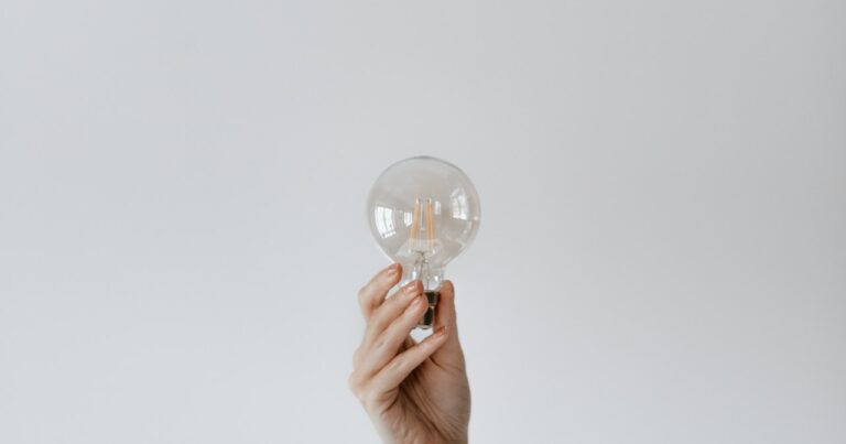 Hand holding up bulb